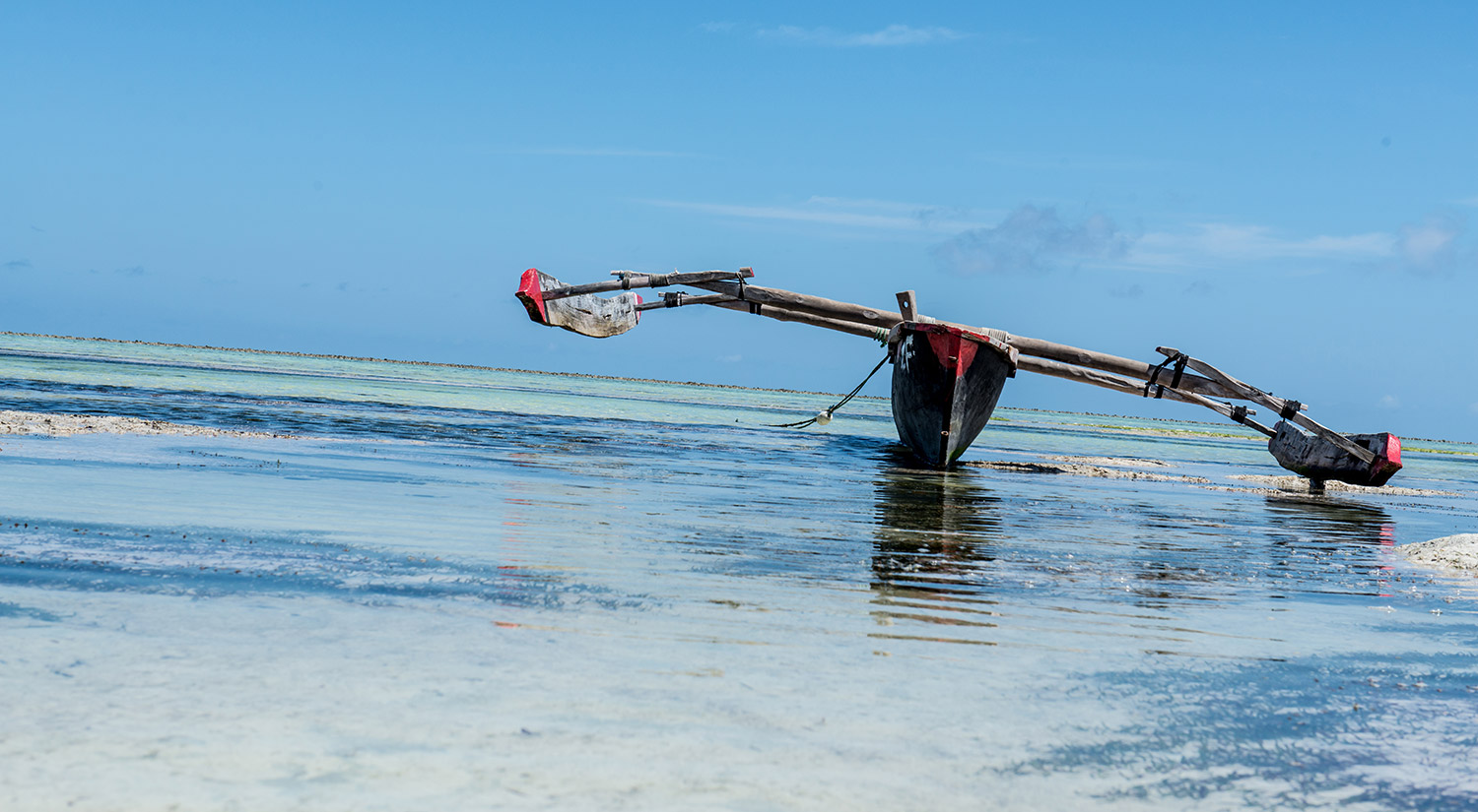 Seaweed Co. Zanzibar