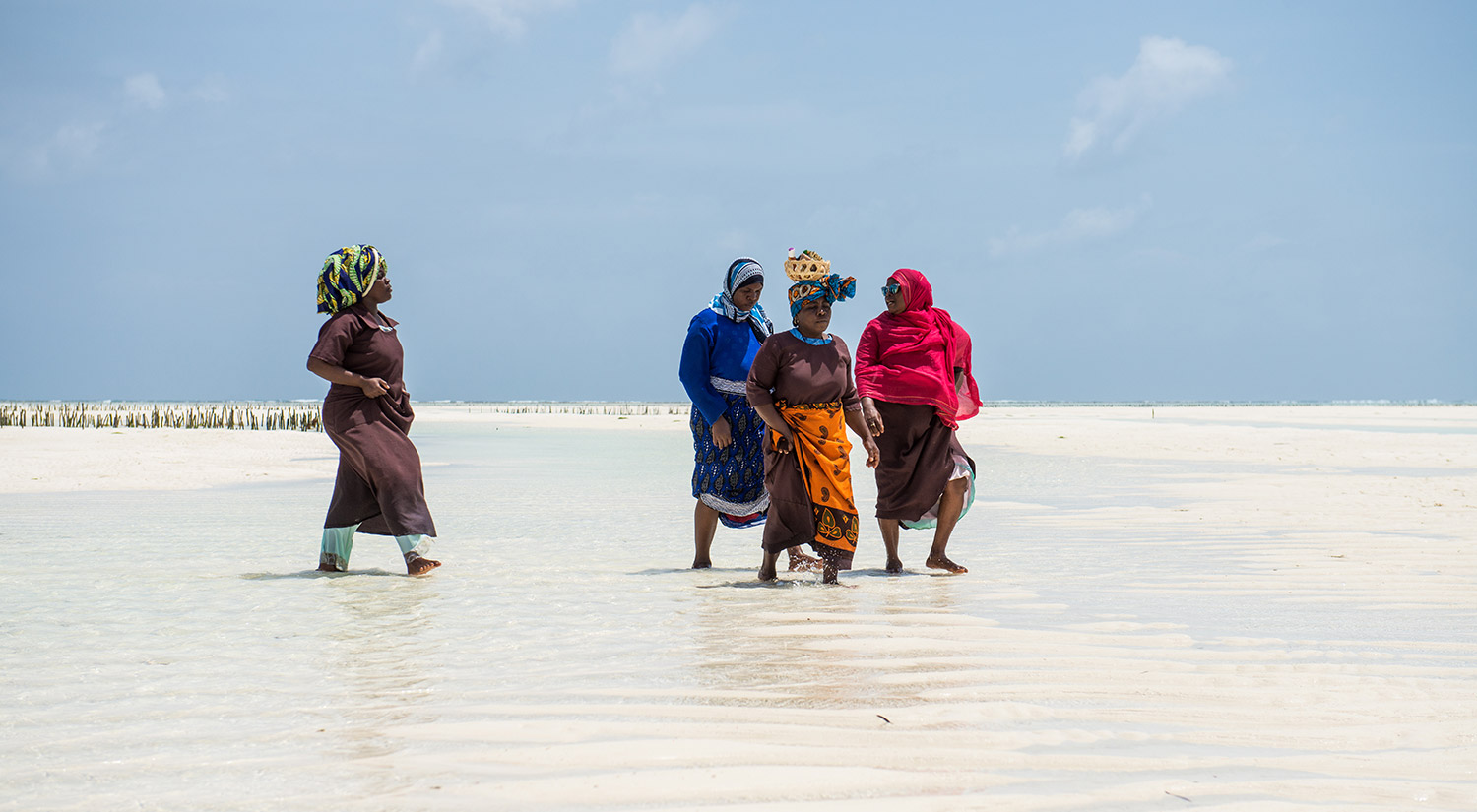 Seaweed Co. Zanzibar