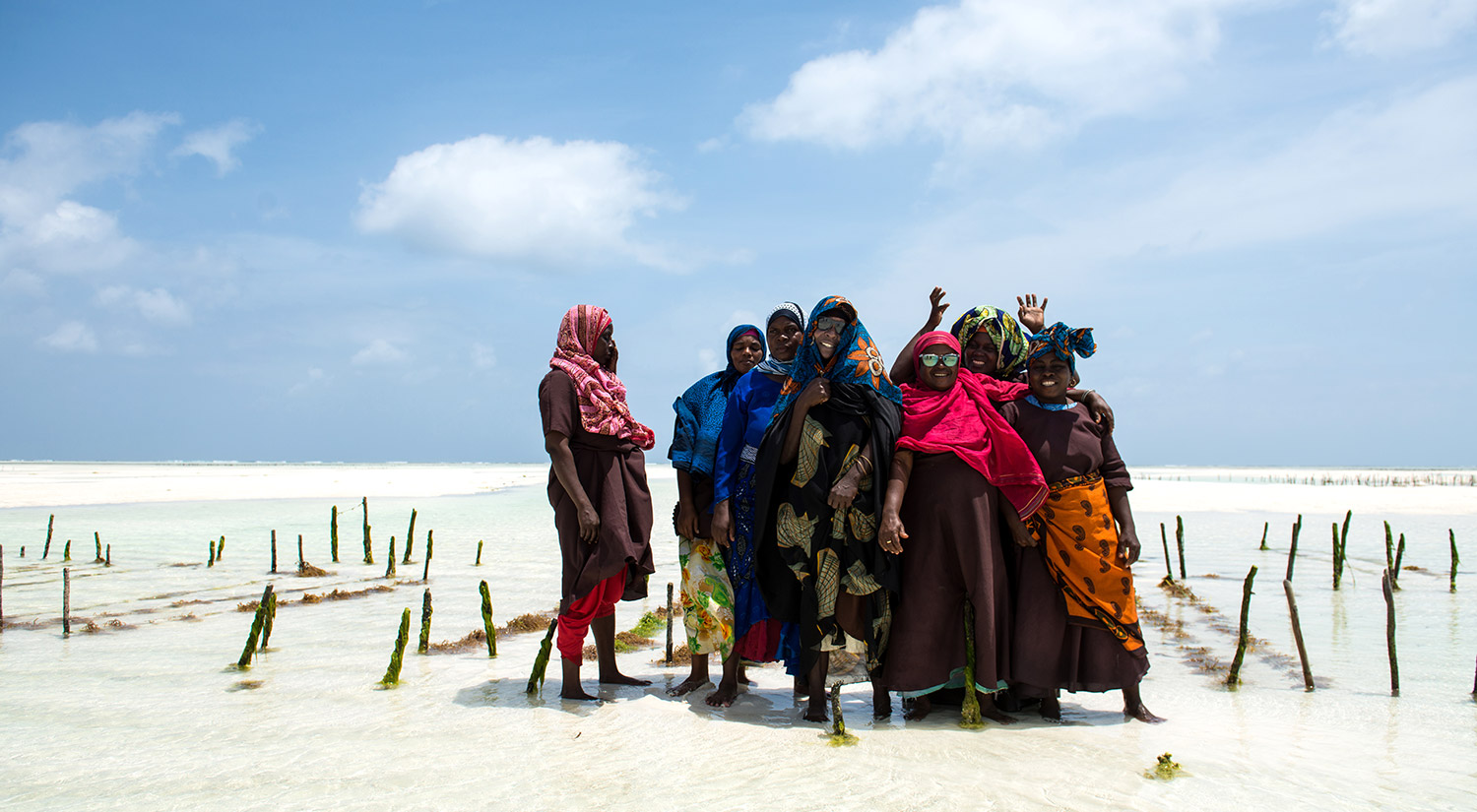 Seaweed & Co, Zanzibar