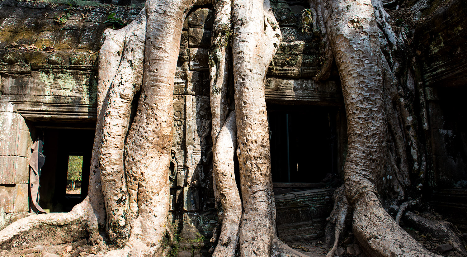 Ta Prohm