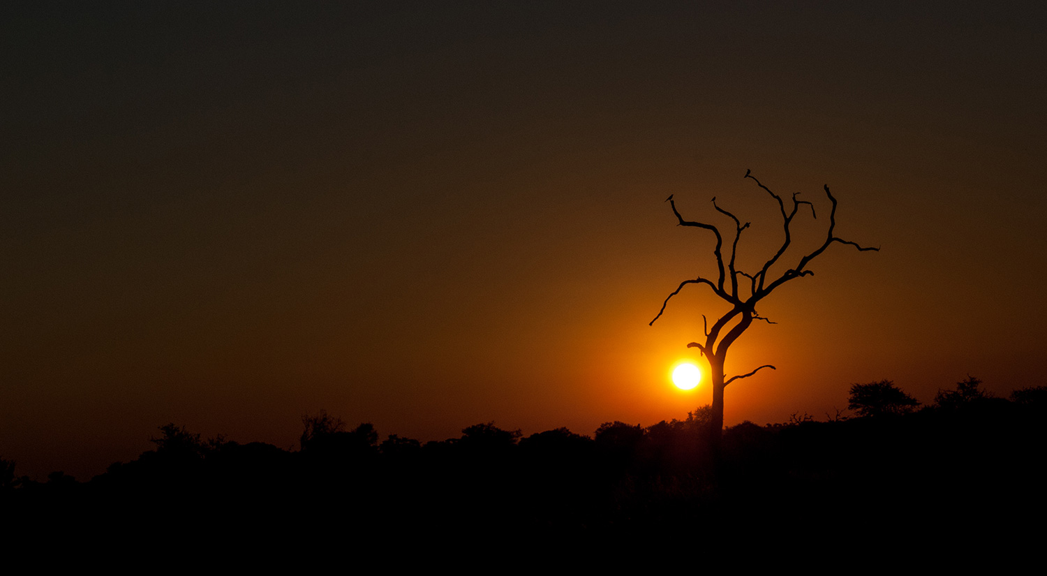 Sunset,  Kruger Park, South Africa