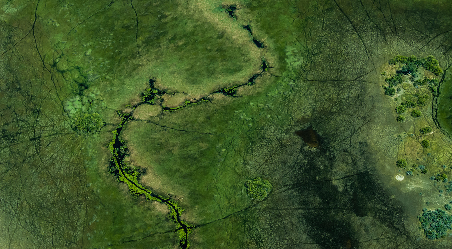 Okavanga Delta, Botswana