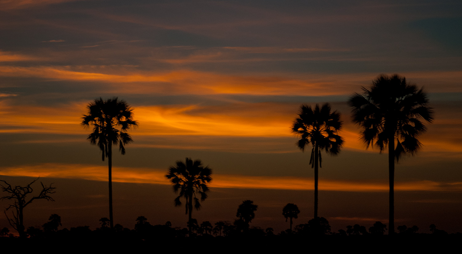 Okavanga Delta, Botswana